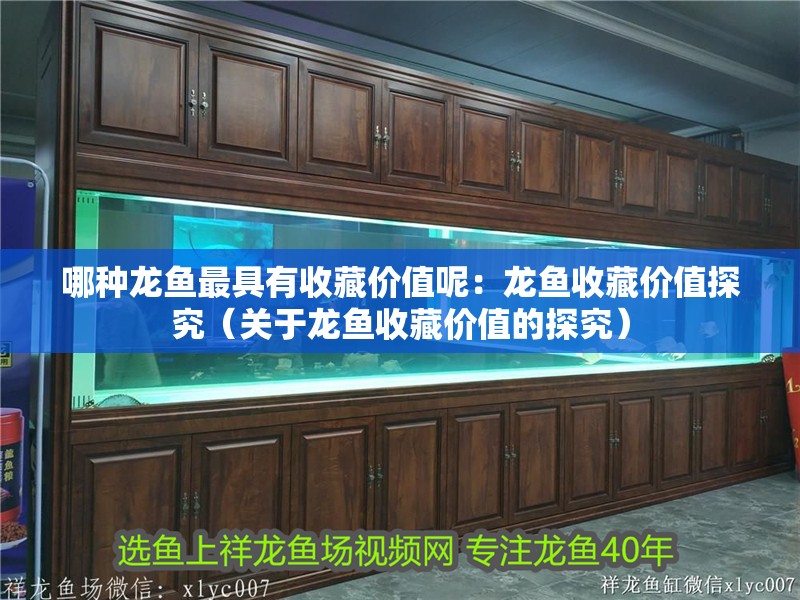 哪種龍魚最具有收藏價值呢：龍魚收藏價值探究（關于龍魚收藏價值的探究）