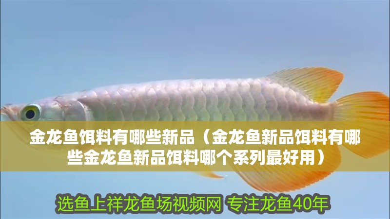 金龍魚餌料有哪些新品（金龍魚新品餌料有哪些金龍魚新品餌料哪個系列最好用） 金龍魚餌料有哪些新品（金龍魚新品餌料有哪些金龍魚新品餌料哪個系列最好用） 龍魚百科
