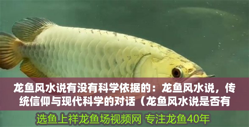 龍魚風(fēng)水說有沒有科學(xué)依據(jù)的：龍魚風(fēng)水說，傳統(tǒng)信仰與現(xiàn)代科學(xué)的對(duì)話（龍魚風(fēng)水說是否有科學(xué)依據(jù)）