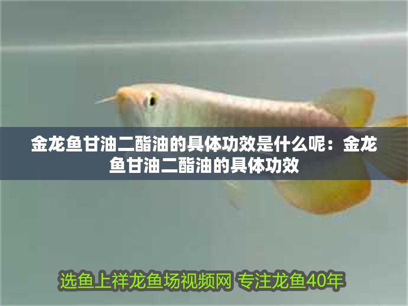 金龍魚甘油二酯油的具體功效是什么呢：金龍魚甘油二酯油的具體功效