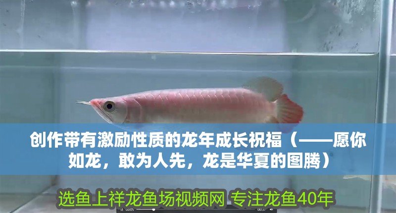 創(chuàng)作帶有激勵(lì)性質(zhì)的龍年成長祝福（——愿你如龍，敢為人先，龍是華夏的圖騰）