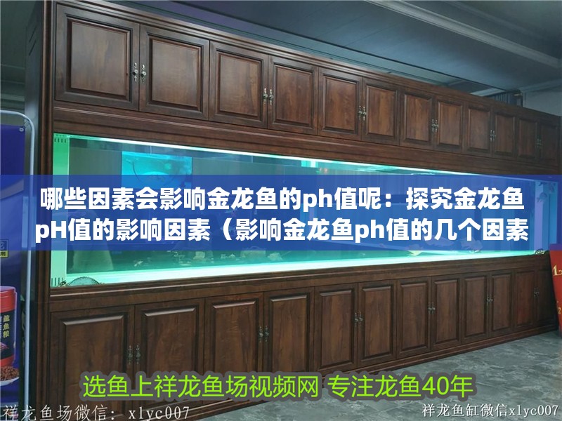 哪些因素會影響金龍魚的ph值呢：探究金龍魚pH值的影響因素（影響金龍魚ph值的幾個因素）