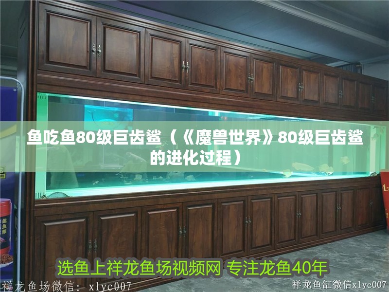 魚吃魚80級巨齒鯊（《魔獸世界》80級巨齒鯊的進化過程）