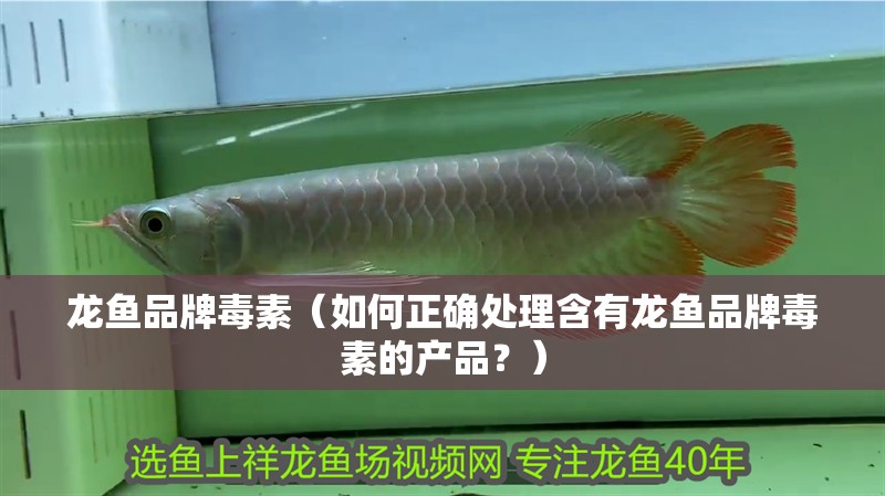 魚缸用增氧泵價格是多少:魚缸增氧機-xtrac增氧機-xtrac增氧機 龍魚品牌毒素(如何正確處理含有龍魚品牌毒素的產品?) 觀賞魚百科 龍魚品牌毒素(如何正確處理含有龍魚品牌毒素的產品?) 龍魚品牌毒素(如何正確處理含有龍魚品牌毒素的產品?) 觀賞魚百科