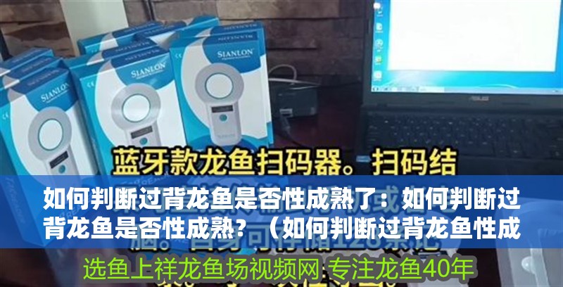 如何判斷過背龍魚是否性成熟了：如何判斷過背龍魚是否性成熟？（如何判斷過背龍魚性成熟）
