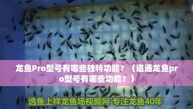 龍魚(yú)Pro型號(hào)有哪些獨(dú)特功能？（道通龍魚(yú)pro型號(hào)有哪些功能？）