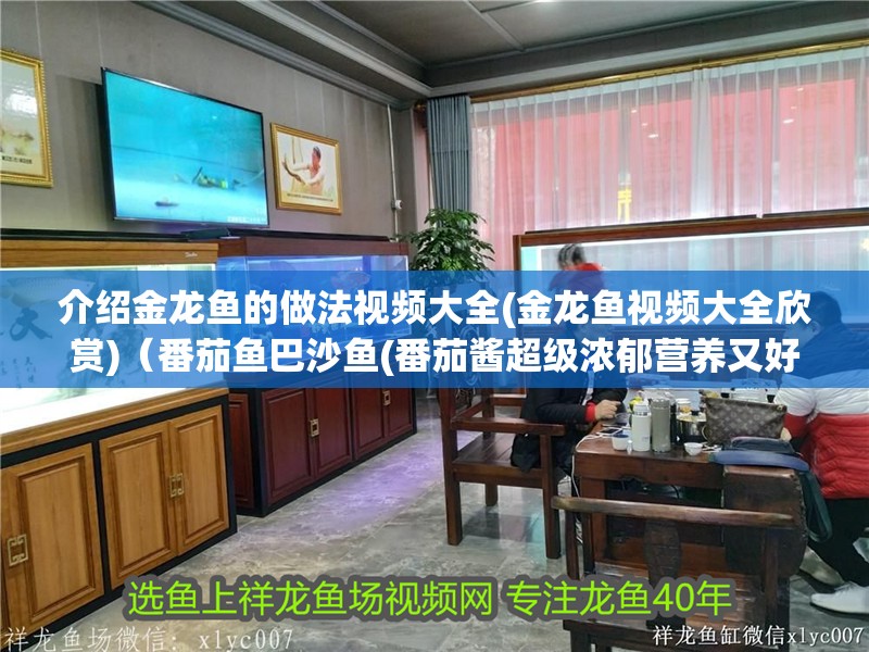 介紹金龍魚的做法視頻大全(金龍魚視頻大全欣賞)（番茄魚巴沙魚(番茄醬超級濃郁營養(yǎng)又好吃，番茄醬超級濃郁）