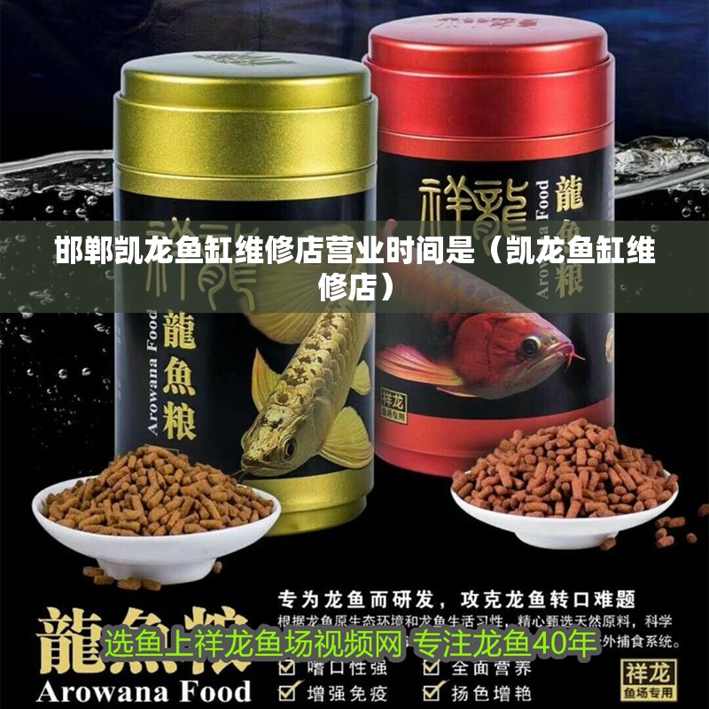 邯鄲凱龍魚(yú)缸維修店?duì)I業(yè)時(shí)間是（凱龍魚(yú)缸維修店） 邯鄲凱龍魚(yú)缸維修店?duì)I業(yè)時(shí)間是（凱龍魚(yú)缸維修店） 龍魚(yú)百科