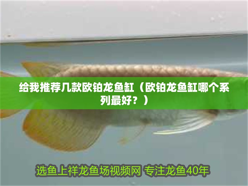 給我推薦幾款歐鉑龍魚缸（歐鉑龍魚缸哪個系列最好？）