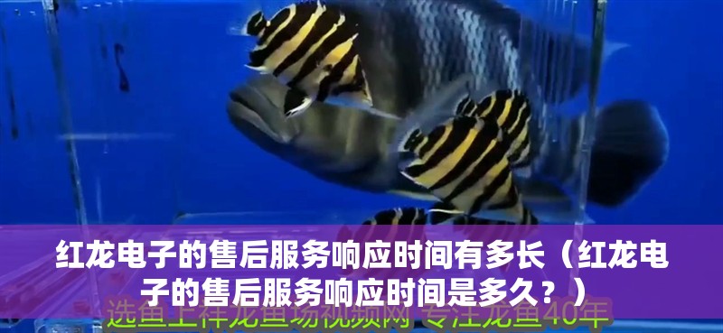 紅龍電子的售后服務響應時間有多長（紅龍電子的售后服務響應時間是多久？）