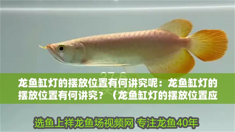 龍魚缸燈的擺放位置有何講究呢：龍魚缸燈的擺放位置有何講究？（龍魚缸燈的擺放位置應綜合考慮光照強度、均勻性、均勻性）