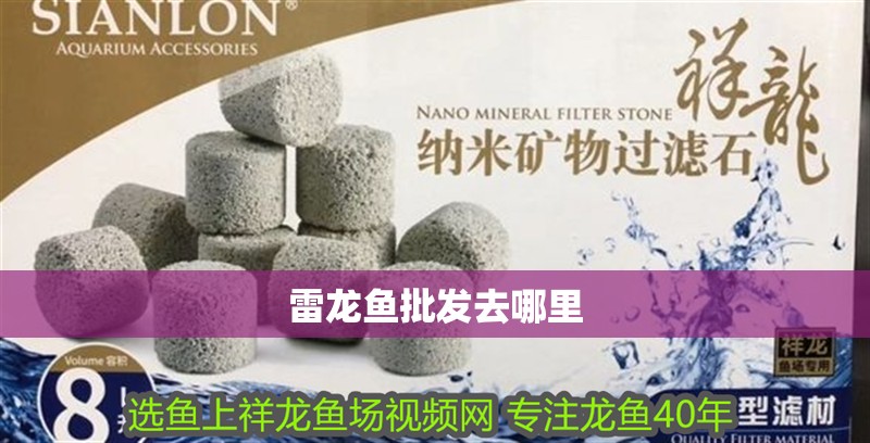 雷龍魚批發(fā)去哪里