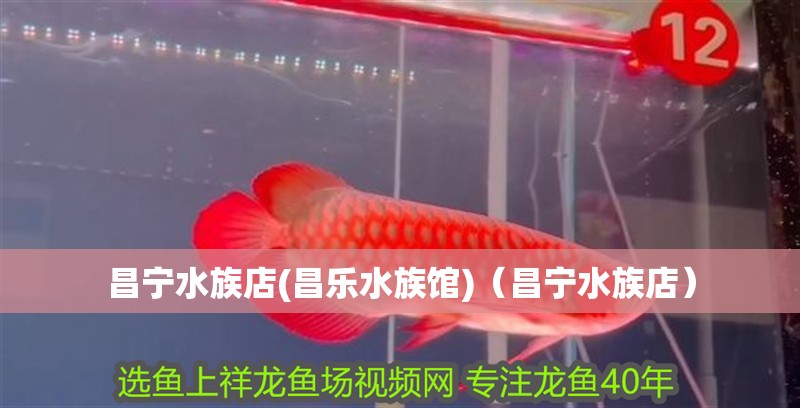昌寧水族店(昌樂水族館)（昌寧水族店） 昌寧水族店(昌樂水族館)（昌寧水族店） 觀賞魚百科