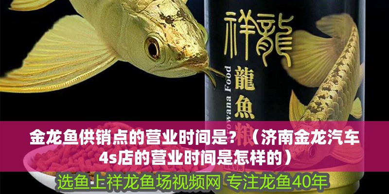金龍魚供銷點的營業(yè)時間是？（濟南金龍汽車4s店的營業(yè)時間是怎樣的）