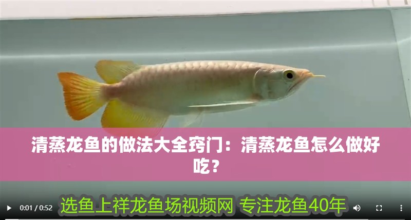 清蒸龍魚的做法大全竅門：清蒸龍魚怎么做好吃？ 清蒸龍魚的做法大全竅門：清蒸龍魚怎么做好吃？ 觀賞魚百科