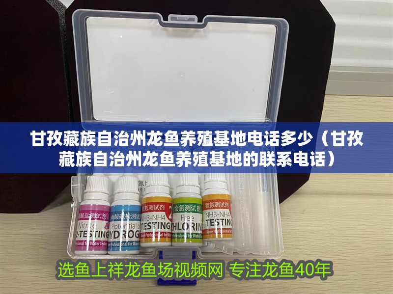 甘孜藏族自治州龍魚養(yǎng)殖基地電話多少（甘孜藏族自治州龍魚養(yǎng)殖基地的聯(lián)系電話）