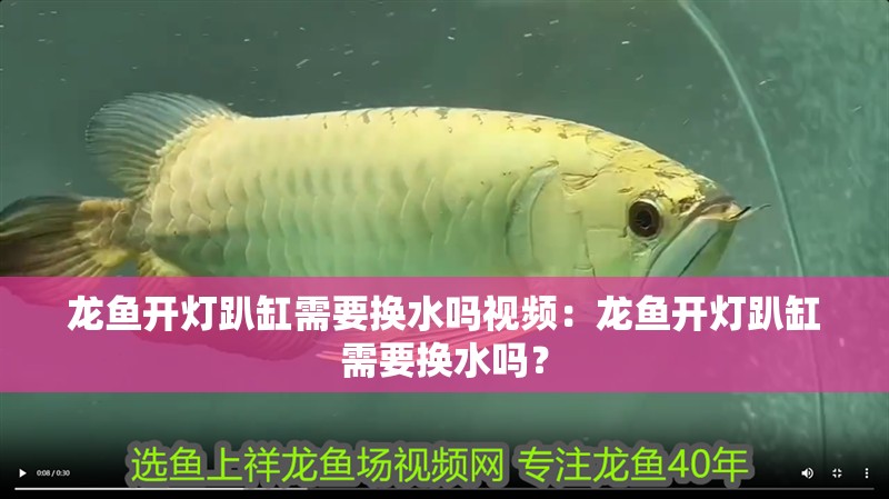龍魚開燈趴缸需要換水嗎視頻：龍魚開燈趴缸需要換水嗎？
