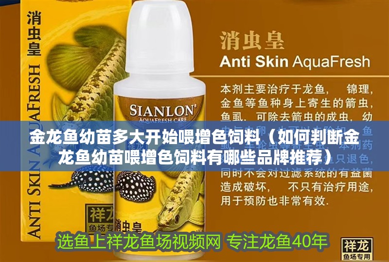 金龍魚幼苗多大開始喂增色飼料（如何判斷金龍魚幼苗喂增色飼料有哪些品牌推薦）