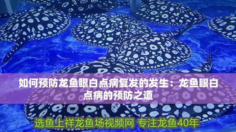 如何預防龍魚眼白點病復發的發生：龍魚眼白點病的預防之道