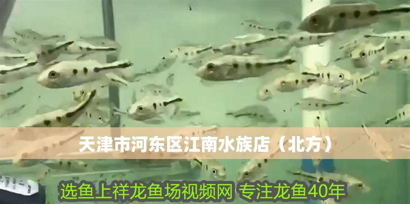 天津市河東區江南水族店(北方) 全國水族館企業名錄 第1張 天津市河東區江南水族店(北方) 天津市河東區江南水族店(北方) 全國水族館企業名錄 第1張