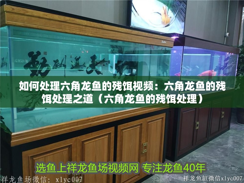 如何處理六角龍魚的殘餌視頻：六角龍魚的殘餌處理之道（六角龍魚的殘餌處理）