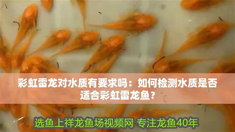 彩虹雷龍對水質有要求嗎：如何檢測水質是否適合彩虹雷龍魚？