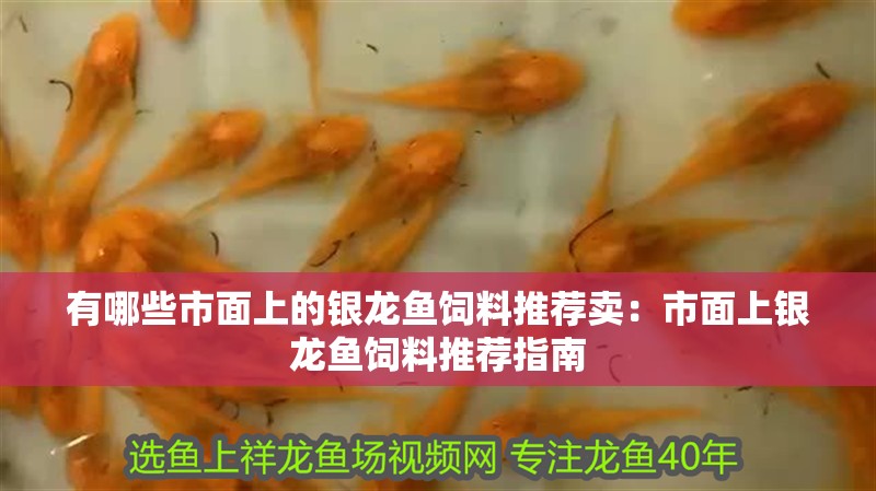 什么魚能和龍魚、虎魚混養(龍魚能和虎魚混養嗎) 有哪些市面上的銀龍魚飼料推薦賣:市面上銀龍魚飼料推薦指南 水族問答 有哪些市面上的銀龍魚飼料推薦賣:市面上銀龍魚飼料推薦指南 有哪些市面上的銀龍魚飼料推薦賣:市面上銀龍魚飼料推薦指南 水族問答