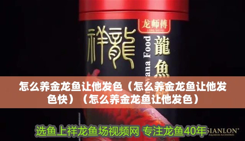 龍魚干蝦有營養嗎 怎么養金龍魚讓他發色(怎么養金龍魚讓他發色快)(怎么養金龍魚讓他發色) 觀賞魚百科 怎么養金龍魚讓他發色(怎么養金龍魚讓他發色快)(怎么養金龍魚讓他發色) 怎么養金龍魚讓他發色(怎么養金龍魚讓他發色快)(怎么養金龍魚讓他發色) 觀賞魚百科