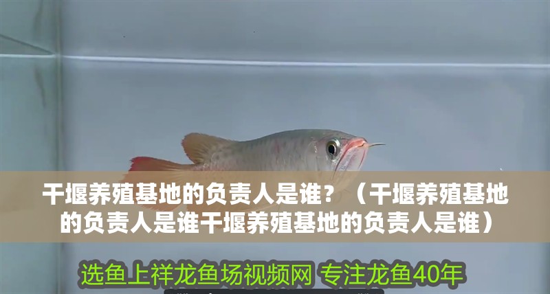 干堰養殖基地的負責人是誰？（干堰養殖基地的負責人是誰干堰養殖基地的負責人是誰）