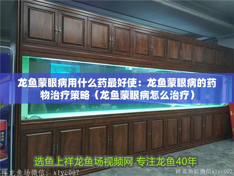 龍魚蒙眼病用什么藥最好使：龍魚蒙眼病的藥物治療策略（龍魚蒙眼病怎么治療）