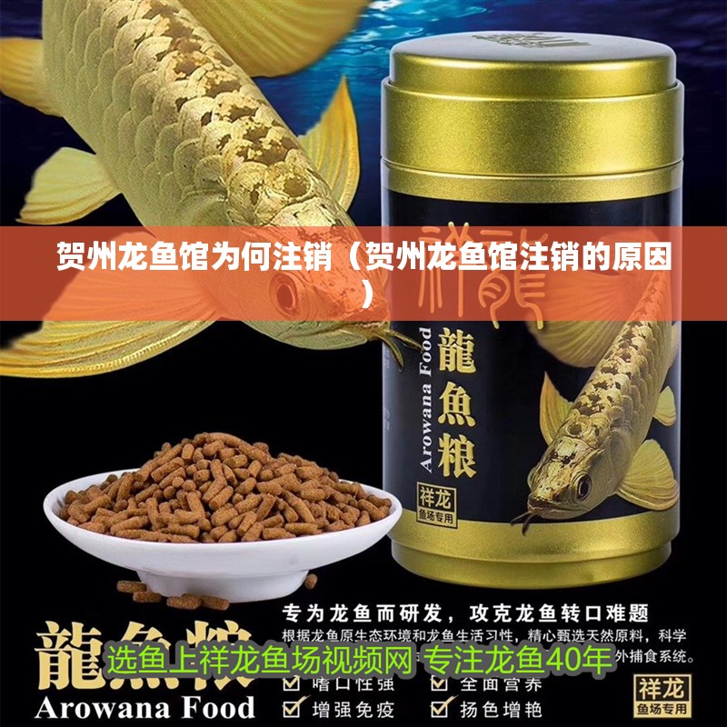 賀州龍魚館為何注銷（賀州龍魚館注銷的原因）