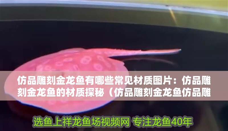 仿品雕刻金龍魚有哪些常見材質圖片：仿品雕刻金龍魚的材質探秘（仿品雕刻金龍魚仿品雕刻金龍魚仿品雕刻金龍魚材質探秘）