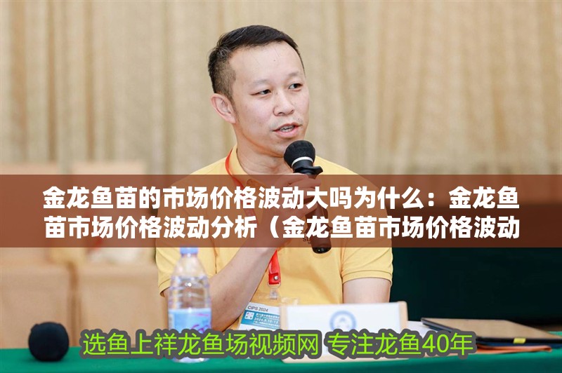 金龍魚苗的市場價格波動大嗎為什么：金龍魚苗市場價格波動分析（金龍魚苗市場價格波動對市場價格波動的原因及其影響）