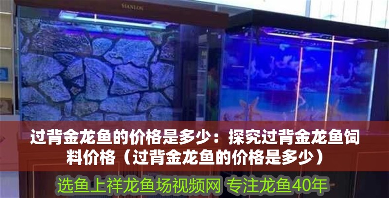 龍魚怕什么 過背金龍魚的價(jià)格是多少:探究過背金龍魚飼料價(jià)格(過背金龍魚的價(jià)格是多少) 水族問答 過背金龍魚的價(jià)格是多少:探究過背金龍魚飼料價(jià)格(過背金龍魚的價(jià)格是多少) 過背金龍魚的價(jià)格是多少:探究過背金龍魚飼料價(jià)格(過背金龍魚的價(jià)格是多少) 水族問答