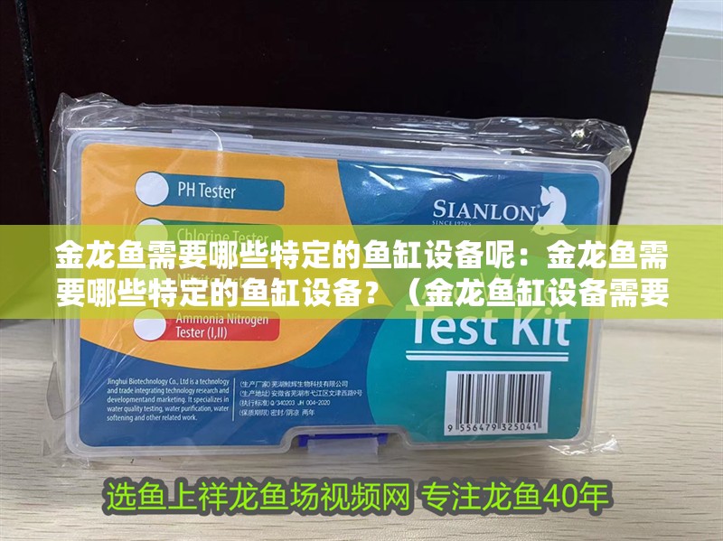 金龍魚需要哪些特定的魚缸設備呢：金龍魚需要哪些特定的魚缸設備？（金龍魚缸設備需要注意的裝飾物可以為金龍魚提供一些因素）