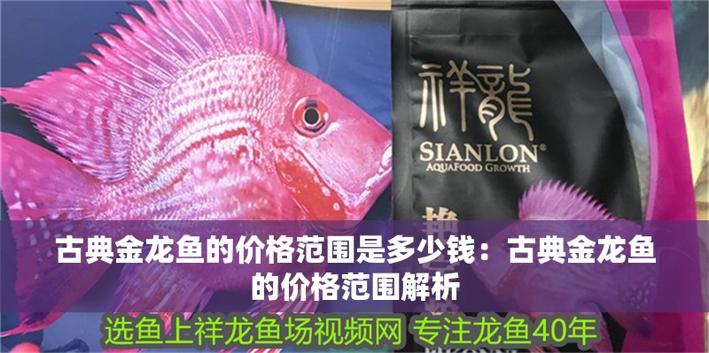 古典金龍魚的價格范圍是多少錢：古典金龍魚的價格范圍解析
