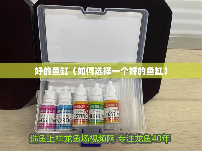 好的魚缸（如何選擇一個好的魚缸）