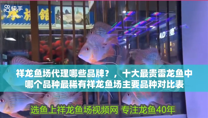 祥龍魚場代理哪些品牌？，十大最貴雷龍魚中哪個品種最稀有祥龍魚場主要品種對比表 祥龍魚場代理哪些品牌？，十大最貴雷龍魚中哪個品種最稀有祥龍魚場主要品種對比表 龍魚百科
