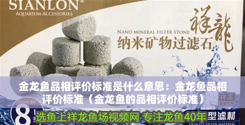金龍魚品相評價標準是什么意思：金龍魚品相評價標準（金龍魚的品相評價標準）