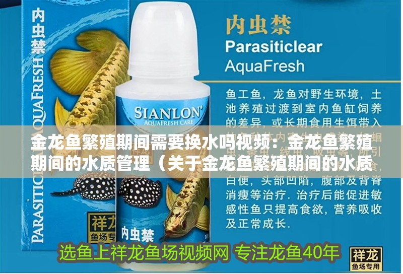 金龍魚繁殖期間需要換水嗎視頻：金龍魚繁殖期間的水質管理（關于金龍魚繁殖期間的水質管理）