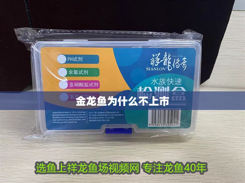 金龍魚為什么不上市