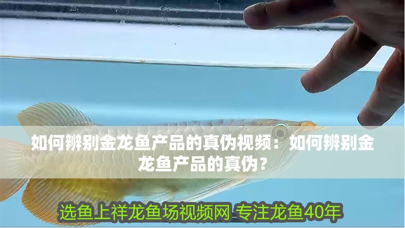 如何辨別金龍魚產品的真偽視頻：如何辨別金龍魚產品的真偽？