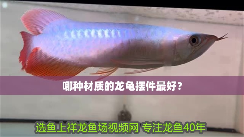 哪種材質的龍龜擺件最好？