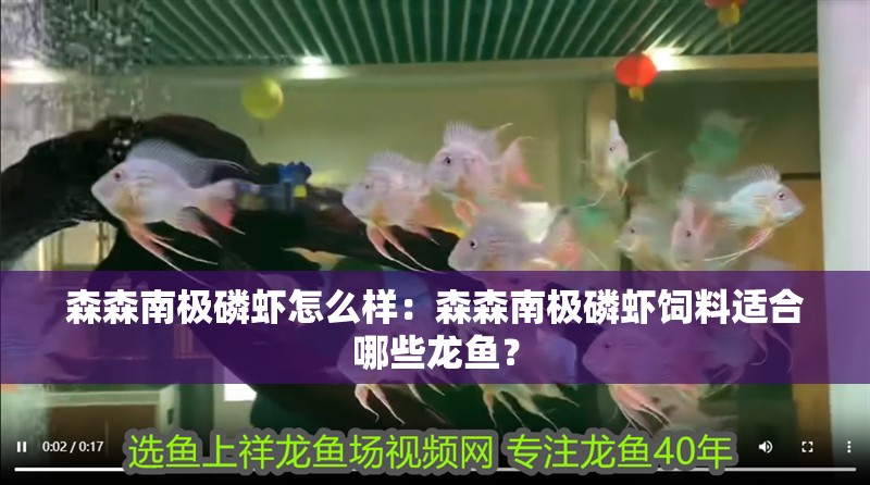 森森南極磷蝦怎么樣：森森南極磷蝦飼料適合哪些龍魚？ 森森南極磷蝦怎么樣：森森南極磷蝦飼料適合哪些龍魚？ 水族問答