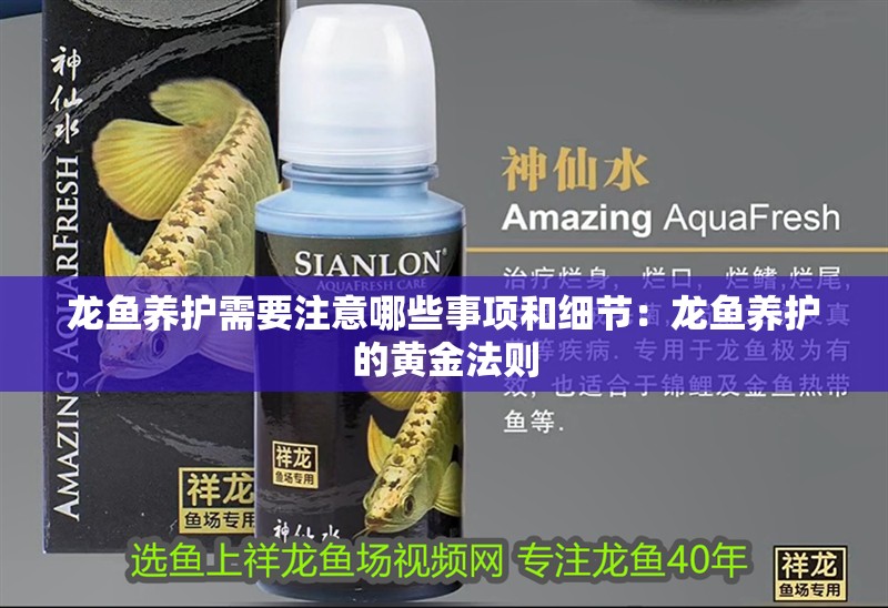 龍魚養護需要注意哪些事項和細節：龍魚養護的黃金法則