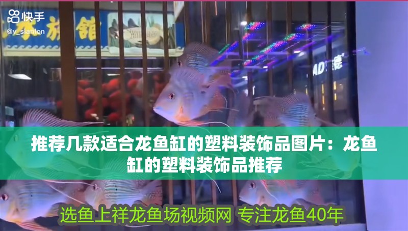 推薦幾款適合龍魚缸的塑料裝飾品圖片：龍魚缸的塑料裝飾品推薦
