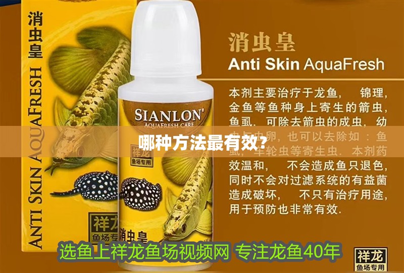 哪種方法最有效？