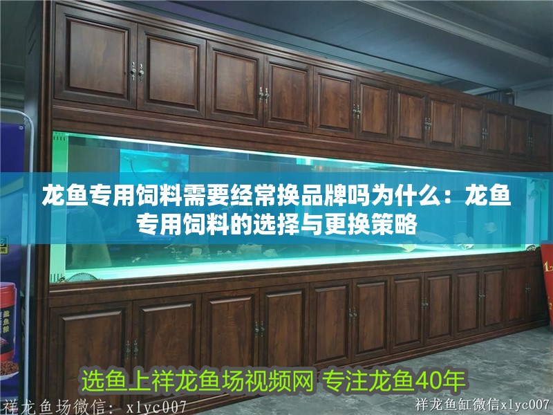 龍魚專用飼料需要經常換品牌嗎為什么：龍魚專用飼料的選擇與更換策略