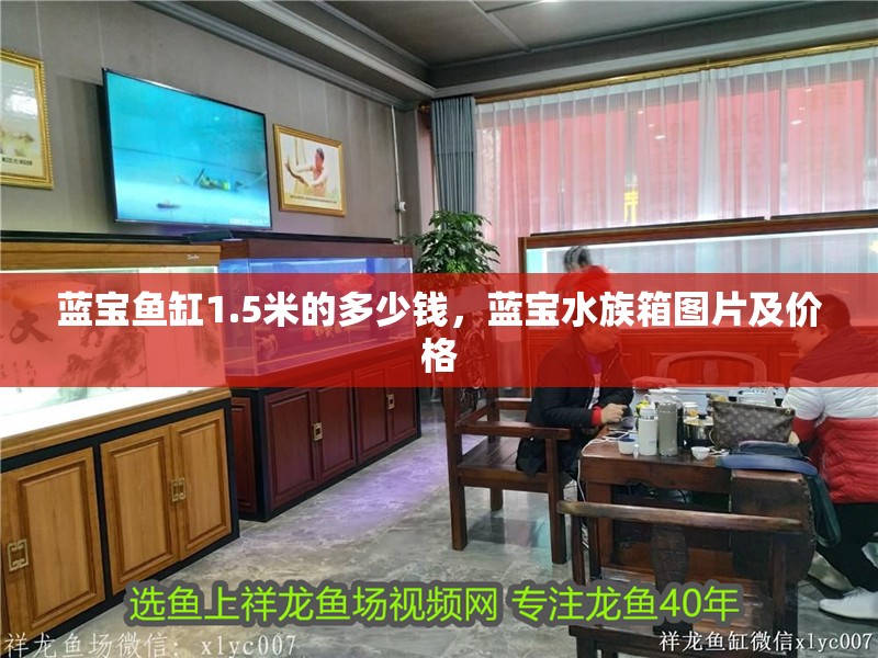 藍(lán)寶魚缸1.5米的多少錢，藍(lán)寶水族箱圖片及價(jià)格