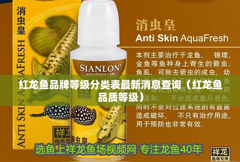 魚缸用增氧泵價格是多少:魚缸增氧機-xtrac增氧機-xtrac增氧機 紅龍魚品牌等級分類表最新消息查詢(紅龍魚品質等級) 觀賞魚百科 紅龍魚品牌等級分類表最新消息查詢(紅龍魚品質等級) 紅龍魚品牌等級分類表最新消息查詢(紅龍魚品質等級) 觀賞魚百科